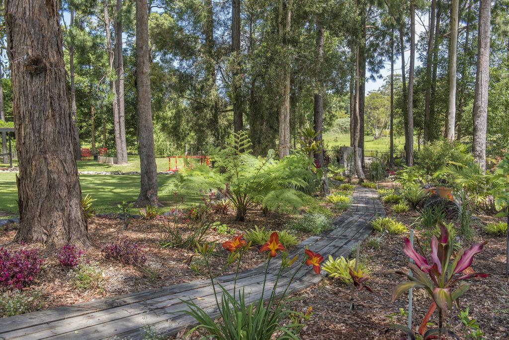 Alarks Nest Bed And Breakfast Coffs Harbour Buitenkant foto