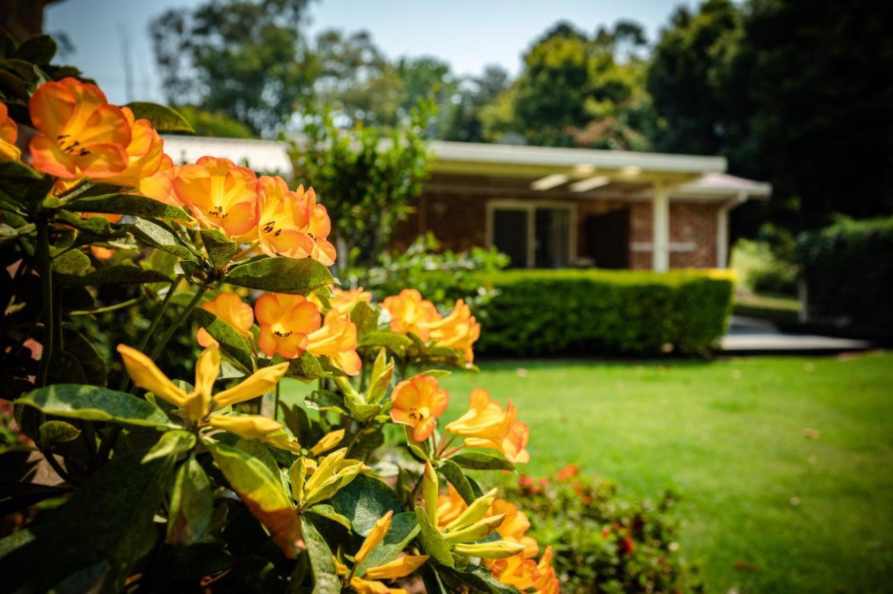 Alarks Nest Bed And Breakfast Coffs Harbour Buitenkant foto