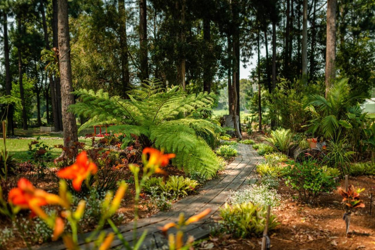 Alarks Nest Bed And Breakfast Coffs Harbour Buitenkant foto