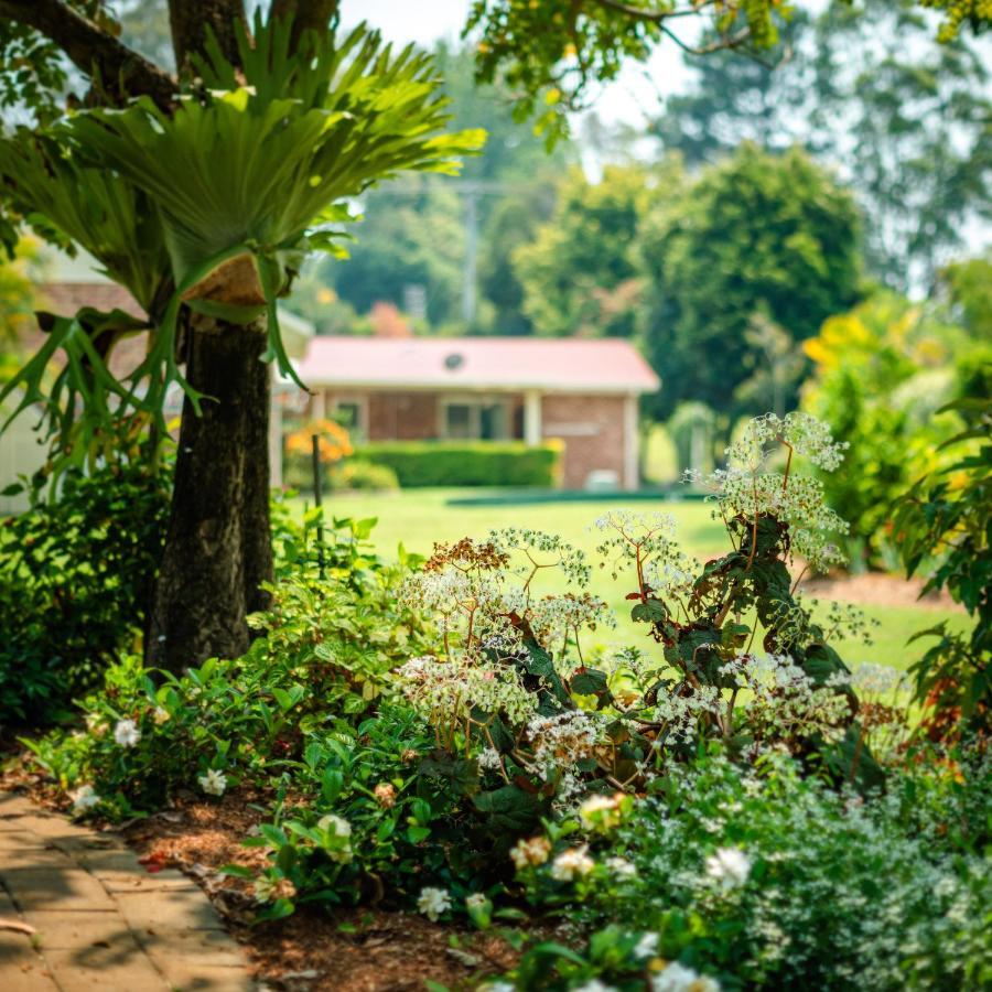 Alarks Nest Bed And Breakfast Coffs Harbour Buitenkant foto